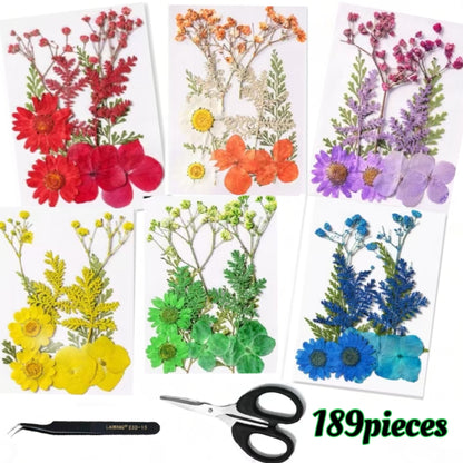 319pcs/287pcs/238pcs/189pcs Dried Flower Sets - Perfectly Suitable for Scrapbooks, Resin Crafts, Bookmarks, Art Decorations, Christmas Wedding Cards, Epoxy Resin Jewelry, Envelopes And Other Dried Flower Handicrafts
