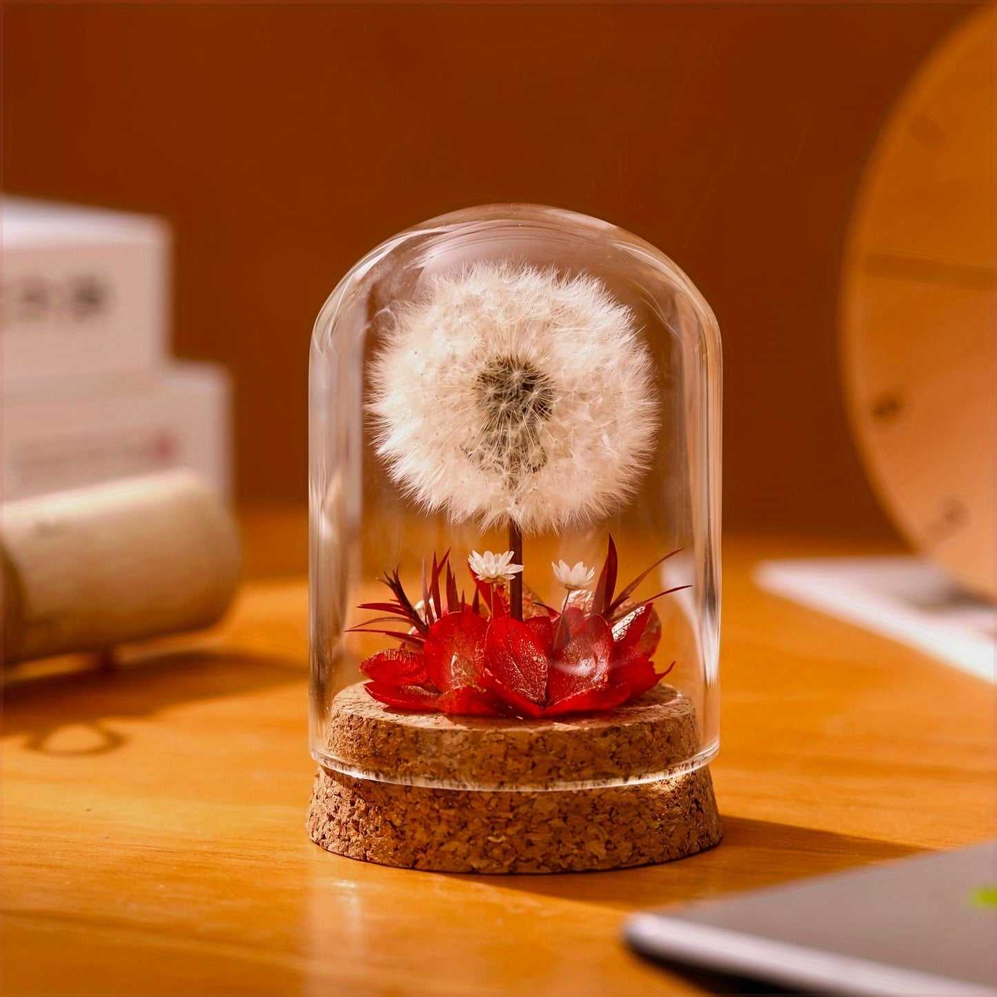 Eternal Dandelion in Glass Dome Decoration - Preserved Floral arrangement with Transparent Display Case, No Electricity Needed Home/Office/Desk Decor - Perfect Gift Box for Mother's Day, Birthday, Christmas, Teacher Appreciation - Long-Lasting Keepsake, F