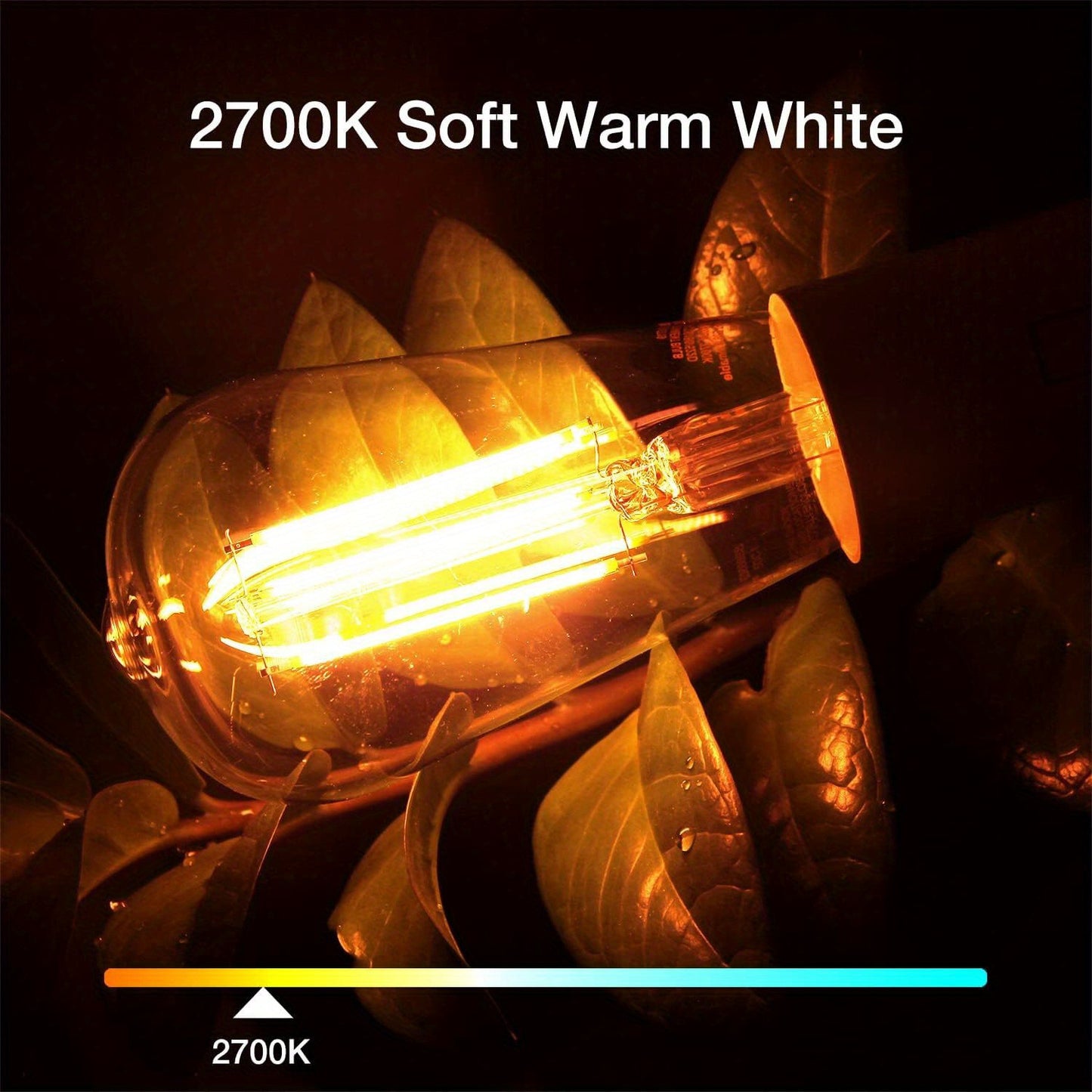 Edison Bulbs LED Vintage, 8W 60W Equivalent Dimmable E26 Base, 800 Lumens 2700K Warm White, 80+ CRI Antique Filament Style LED Edison Light Bulbs for Home Bedroom Office Cottage Living Room, 12 Pack