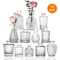12pcs-Transparent