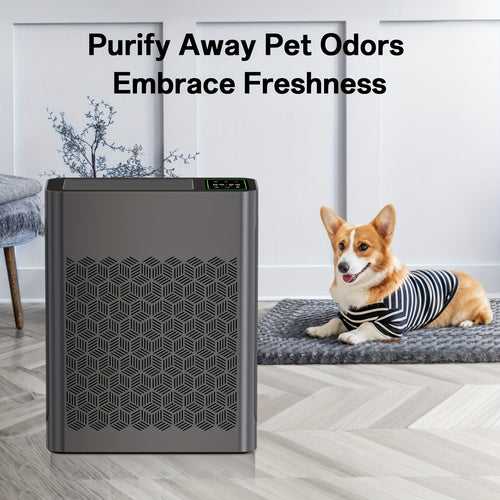 Air Purifier for Large Room with PM2.5 Display Auto Mode Timer HEPA Filter Removes Dust Smoke Pollen Odor for Home Office Living Room Bedroom