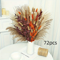 PPHS72pcs