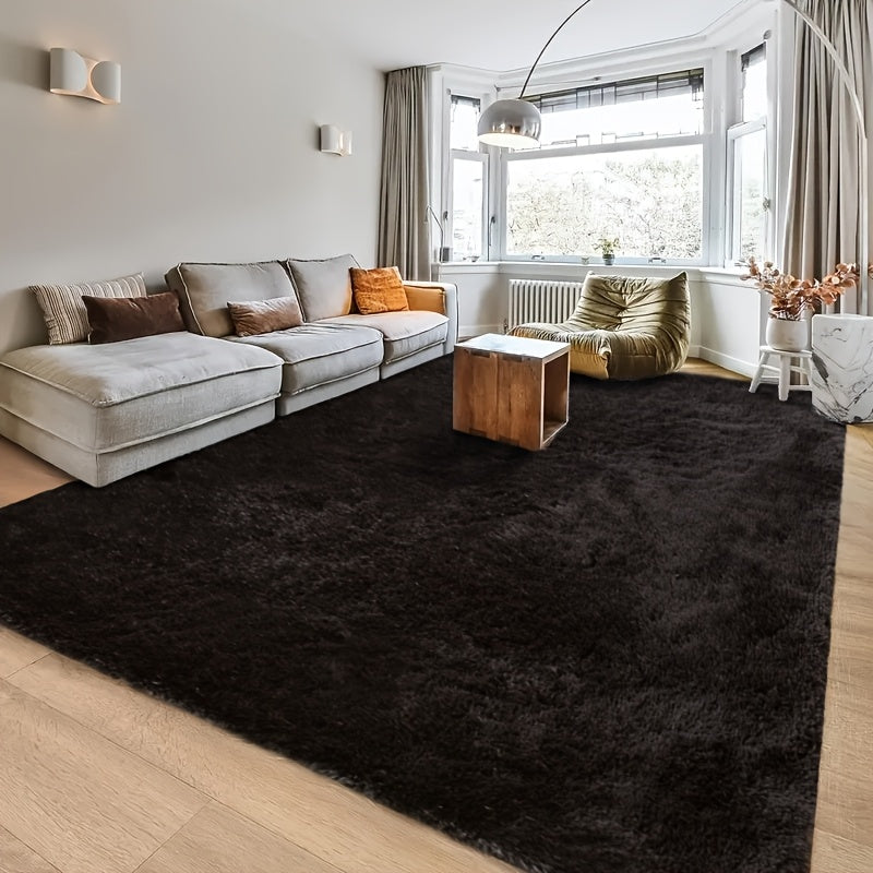 Fluffy Bedroom Rug Carpet Shaggy Fuzzy Rugs for Bedroom, Soft Rug for Room, Thick Black Area Rugs for Living Room, Cute Room Decor