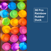 36 Rainbow Ducks