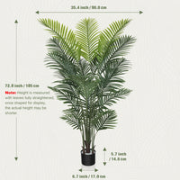 6 FT Palm Tree
