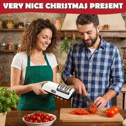 Electric Knife Sharpener 2-Stage – Automatic Professional Kitchen Knife Sharpener with Built-In Guides & Sanding Wheel for All Knives, Santoku, Fillet, Chef & Hunting Blades