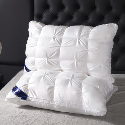 Pillows 2 Pack Queen King Size – Luxury Hotel Quality Deep Sleep Neck Support Pillow High Fluffiness Soft Breathable Fabric All Season Bed Pillow Set