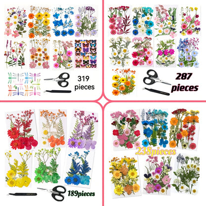 319pcs/287pcs/238pcs/189pcs Dried Flower Sets - Perfectly Suitable for Scrapbooks, Resin Crafts, Bookmarks, Art Decorations, Christmas Wedding Cards, Epoxy Resin Jewelry, Envelopes And Other Dried Flower Handicrafts