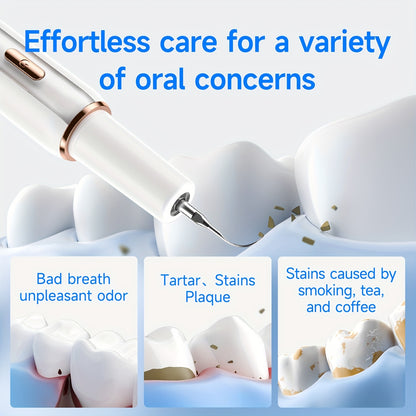Interdental Plaque Remover with LED Light – Electric Teeth Cleaner, 5 Cleaning Modes, 2 Replacement Heads, Oral Irrigator-Like Function, No Water Required, Dental Care for Travel & Home Use