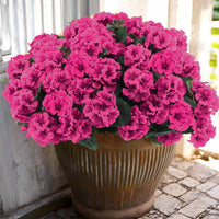 Rose Warm Pink - Simulated Poinsettia Flower (Upgraded Version)