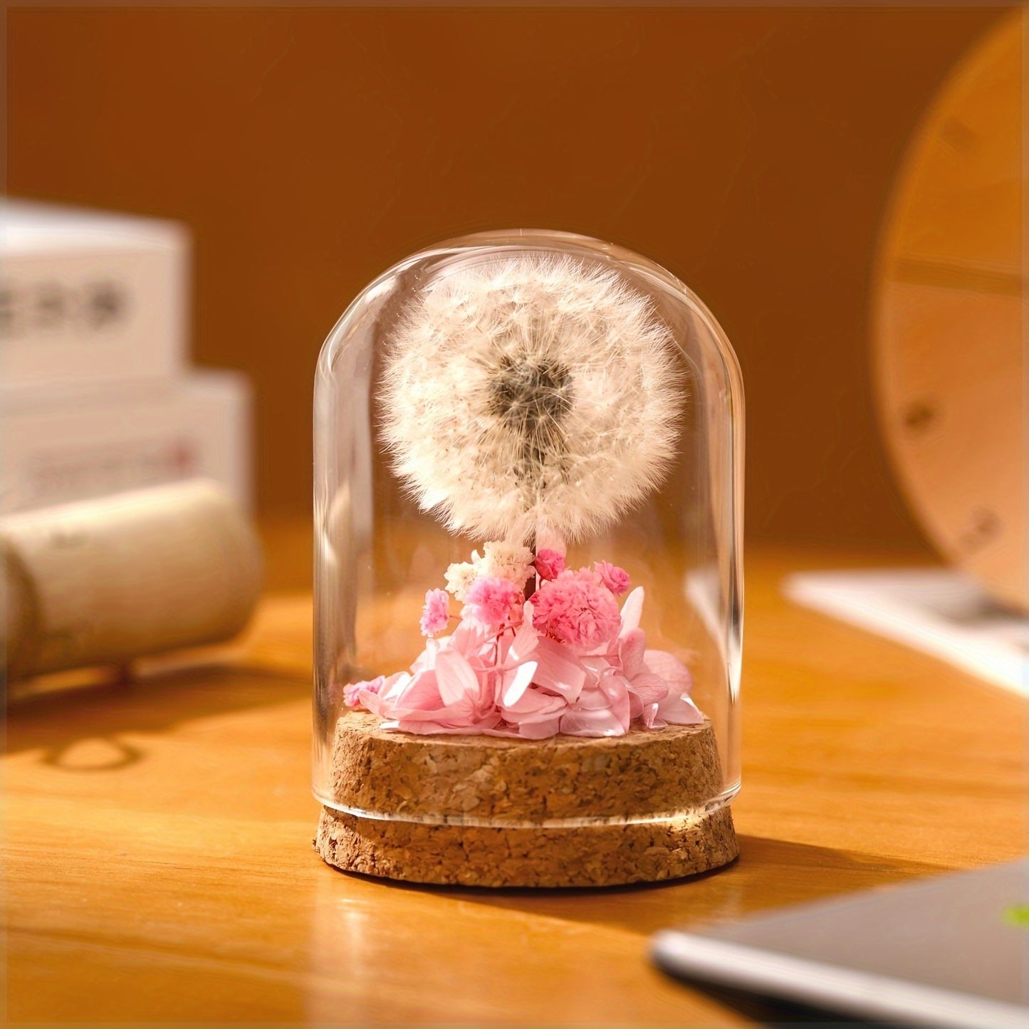 Eternal Dandelion in Glass Dome Decoration - Preserved Floral arrangement with Transparent Display Case, No Electricity Needed Home/Office/Desk Decor - Perfect Gift Box for Mother's Day, Birthday, Christmas, Teacher Appreciation - Long-Lasting Keepsake, F