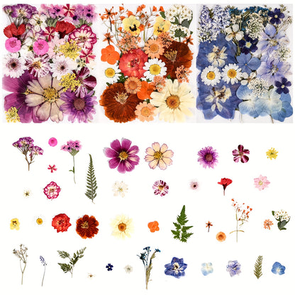 110pcs Vibrant Dried Flowers And Leaves Set - Nature-Inspired Decoration Kit for DIY Crafts, Phone Case, Resin Jewelry, Candles, Scrapbooking And More