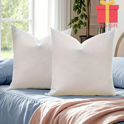 Decorative Square Pillow Inserts That Are, Suitable for Both Indoor And Outdoor Settings - High-Quality Cushion Filling for Couches, Patios, And Picnics That Withstands The Weather