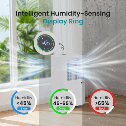 5500 Sq.Ft Dehumidifier for Basement with Drain Hose, 50 Pint Portable Dehumidifiers for Home Bedroom Bathroom Large Room, Powerful Moisture Removal and Humidity Control