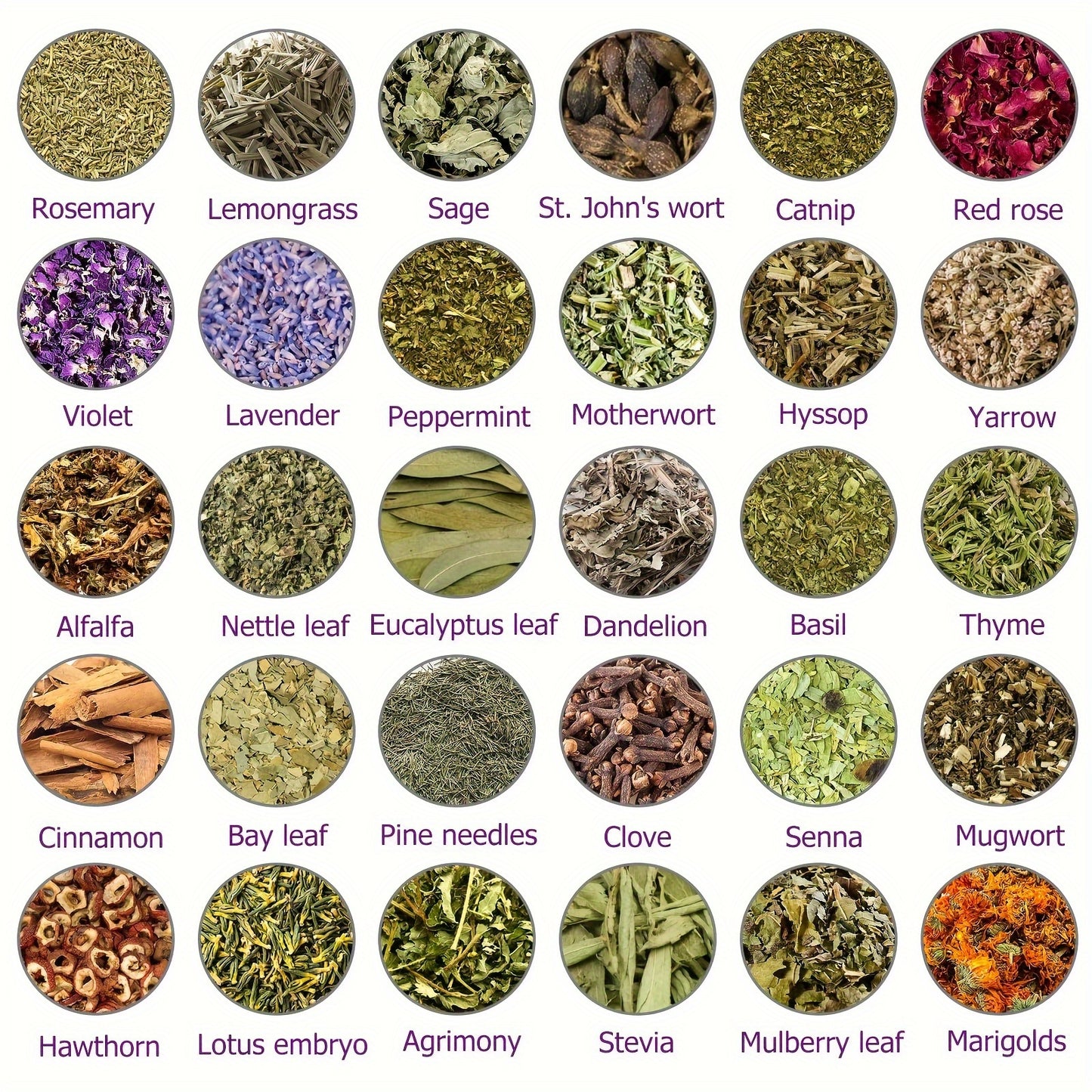 Gift for Her/Him 30 Packs Different Dried Herbs for Wicca, Pagan And Wiccan Rituals, Altar Supplies, Magic Spells, with Metal Spoon - Witchcraft Supplies Herbs Kit for Witch Beginners, for Halloween