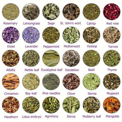 Gift for Her/Him 30 Packs Different Dried Herbs for Wicca, Pagan And Wiccan Rituals, Altar Supplies, Magic Spells, with Metal Spoon - Witchcraft Supplies Herbs Kit for Witch Beginners, for Halloween