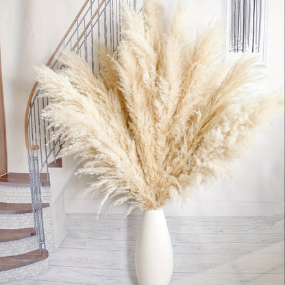 Pampas Grass Decor 10 Stalks 45 Inch Tall Natural Dried Fluffy Plumes for Floor Vase, Living Room, Boho Wall Decor & High-End Home Decoration