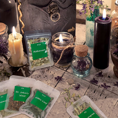 Gift for Her/Him 30 Packs Different Dried Herbs for Wicca, Pagan And Wiccan Rituals, Altar Supplies, Magic Spells, with Metal Spoon - Witchcraft Supplies Herbs Kit for Witch Beginners, for Halloween