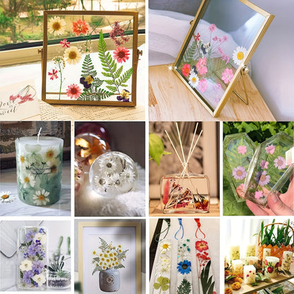 500pcs of Random Materials for Pressed Flowers, Natural Dried Flowers, Resin Molds, Nail Art, Making, Phone Case, Artistic Crafts, Jewelry Making, Scrapbooking, Floral Decorations, Picture Frames, Halloween Decorations, Christmas Gifts, And More