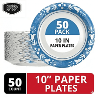 10 IN Plates