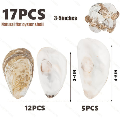 17pcs Flat Oyster Shells 3-5in Medium to Large, Natural, Disk Shaped, Craft Sea Shells for Home Vase Filler, Xmas Ornaments, DIY Arts And Crafts