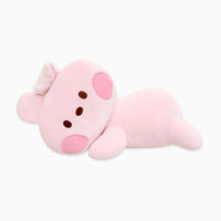 Cooky