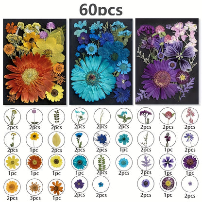 60pcs Dried Pressed Flowers For Resin, Real Pressed Flowers Dry Leaves Bulk Natural Herbs Kit For Scrapbooking DIY Art Crafts, Epoxy Resin Jewelry Molds, Candle, Soap Making, Nails Décor