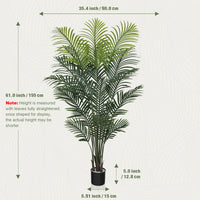 5 FT Palm Tree