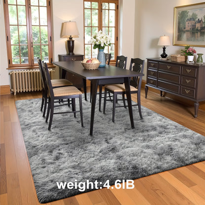 Area Rug Non Slip Backing for Living Room Kitchen Modern Home Decor Floor Decoration Carpet Mat Cute Fluffy Bedroom Rug Easy to Clean Bathroom Rugs
