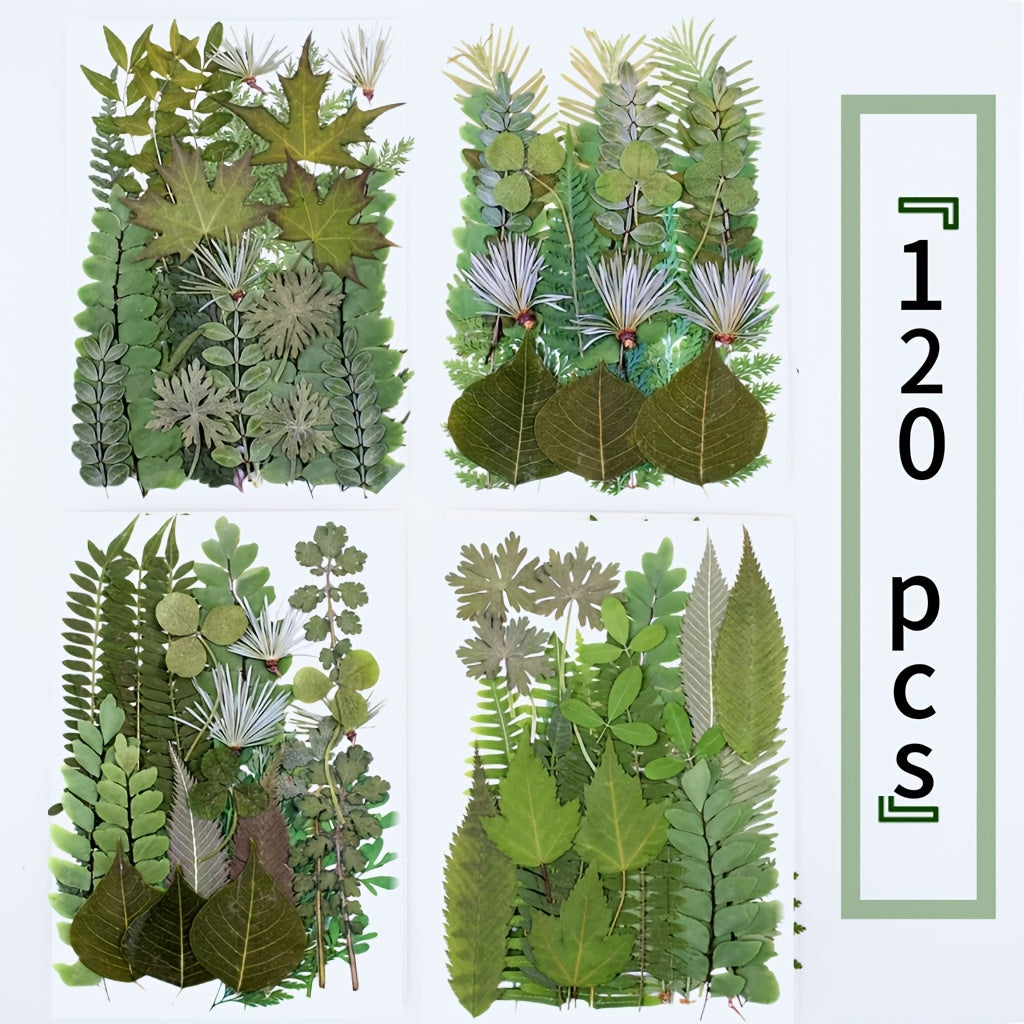 120pcs Dried Flower And Leaf Material Pack Can Be Used for Dried Flower Phone Cases Dried Flower Eternal Flower Photo Frame Embossed Mirror Embossed Decorative Paintings Suitable for Valentine'S Day And Halloween
