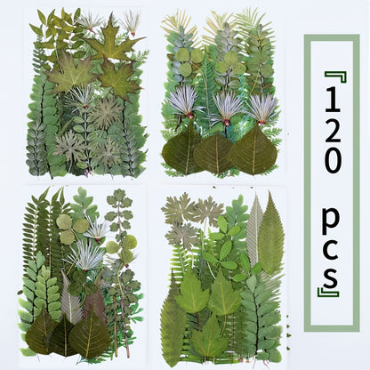 120pcs Dried Flower And Leaf Material Pack Can Be Used for Dried Flower Phone Cases Dried Flower Eternal Flower Photo Frame Embossed Mirror Embossed Decorative Paintings Suitable for Valentine'S Day And Halloween